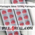 Kamagra Jelly 100Mg Kamagra 19